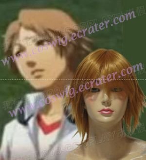 Persona 25cm Cosplay Wig