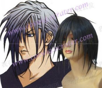 Kingdom Hearts Zexion cosplay wig