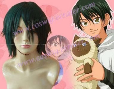 Prince of Tennis Seigaku Echizen Ryoma Cosplay Wig