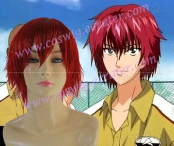Prince of Tennis Bunta Marui Cosplay Wig