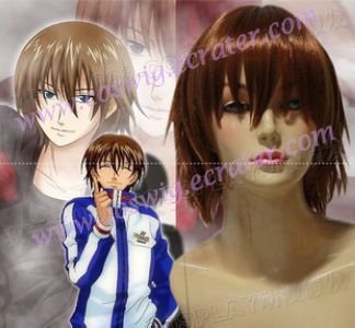 The Prince of Tennis Seigaku Cosplay wig