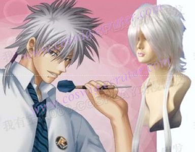 Prince of Tennis Nioh Masaharu Cosplay Wig