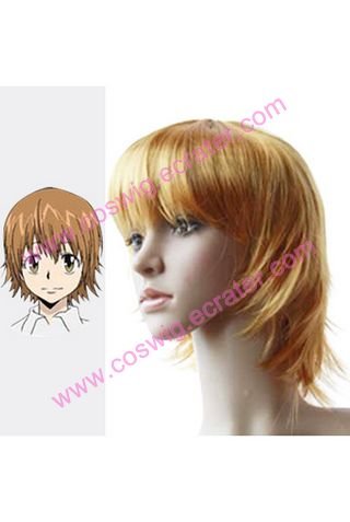 Reborn Kyoko Sasagawa Halloween Cosplay Wig