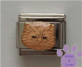 Adorable cream Persian cat Italian Charm