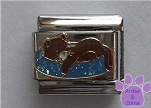 Brown cat napping on blue glitter bed Italian Charm
