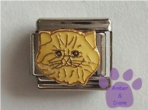 Cream Persian Kitty Cat Italian Charm Longhair Kitten