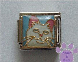 White cat face on blue background Italian Charm