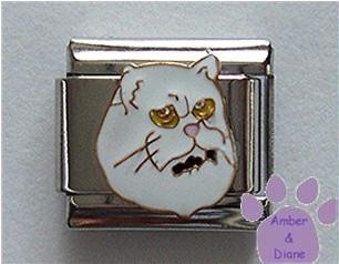White Persian cat Italian Charm