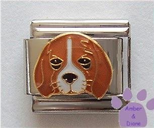 Adorable Beagle Puppy Dog Italian Charm