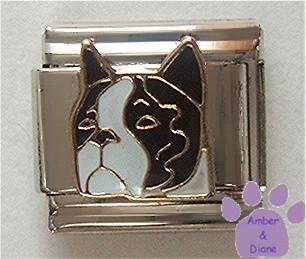 Adorable Boston Terrier Dog Italian Charm