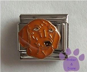 Adorable Dachshund Dog Italian Charm with puppy dog eyes