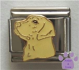 Beautiful Yellow Lab Dog Italian Charm - Golden colour