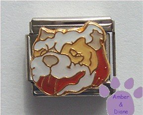 Bull Dog Italian Charm English Bulldog's Head