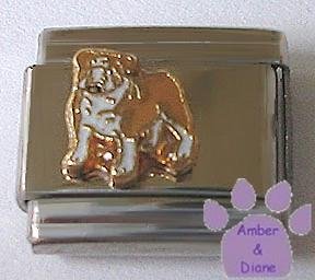 Bull Dog Italian Charm full body pose English Bulldog