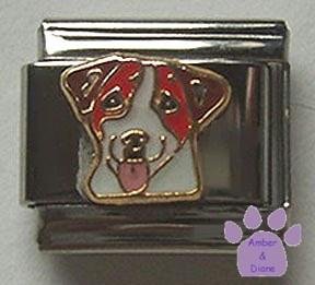 Cute Jack Russell Terrier with Tongue Out Italian Charm