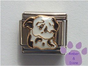 Dalmatian Dog Italian Charm Dalmatian's Head