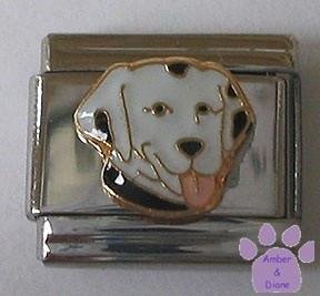 Dalmatian Dog Italian Charm very sweet puppy