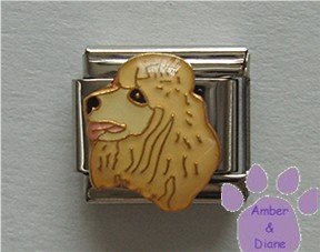 French Poodle Dog Italian Charm Creamy Golden Blond