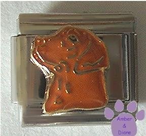 Gorgeous Chocolate Lab Dog Italian Charm