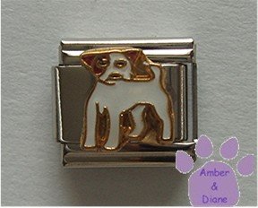 Jack Russell Terrier Dog Italian Charm full body facing left