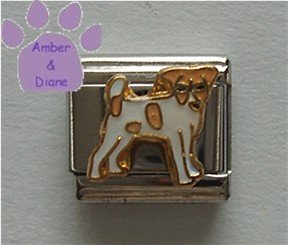 Jack Russell Terrier Dog Italian Charm full body facing right