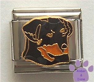 Rottweiler Italian Charm Rottie Dog, facing right