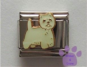 West Highland White Terrier - Cute Fluffy Westie Puppy