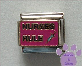 NURSES RULE Italian Charm with a Hypodermic Syringe or Needle