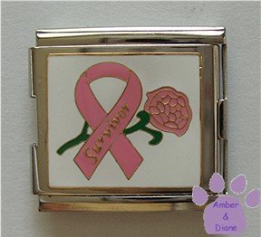 Pink Ribbon Survivor and Rose Megalink Italian charm