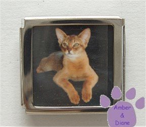 Add Your Own Photo Custom Italian Charm Megalink Photo Box