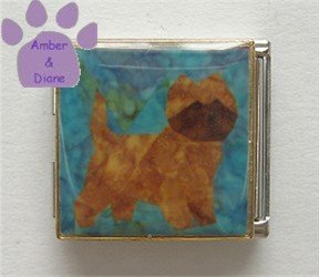 Border Terrier or Cairn Terrier Dog Photo Italian Charm Megalink