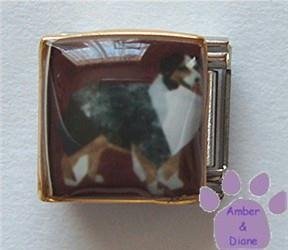 Australian Shepherd Dog 9mm Custom Photo Italian Charm