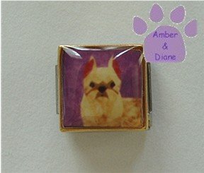 Brussells Griffon Dog 9mm Custom Photo Italian Charm