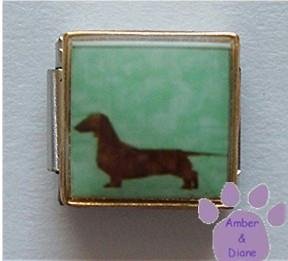 Dachshund Dog 9mm Custom Photo Italian Charm