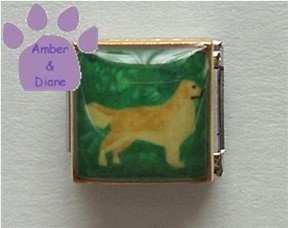 Golden Retriever Dog 9mm Custom Photo Italian Charm full body