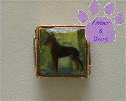 Mini Pin or Doberman Dog 9mm Custom Photo Italian Charm
