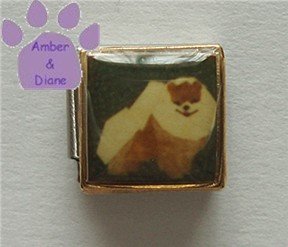 Pomeranian Dog 9mm Custom Photo Italian Charm