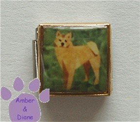 Shiba Inu Dog 9mm Custom Photo Italian Charm full body pose
