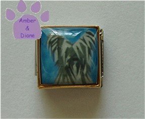Skye Terrier or Briard Dog 9mm Custom Photo Italian Charm