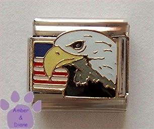 American Eagle with United States Flag Italian Charm