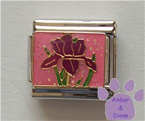 Fabulous Purple Iris or Cockscomb Flower Italian Charm