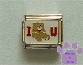 I Bear Hug U Italian Charm Teddy Bear on white enamel