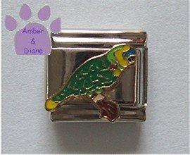 Blue Front Amazon Parrot Italian Charm for the bird or parrot lo