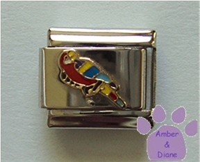Parrot Italian Charm red Macaw with blue and yellow wings