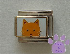 Orange Cat Face Italian Charm Kitty Peeking at you
