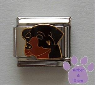 Black and Tan Rottweiler Dog Italian Charm