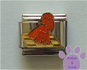 Brown Puppy Dog Italian Charm Sitting on a Blanket
