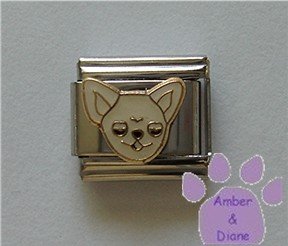 Chihuahua Dog Italian Charm