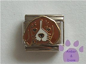 Cute Beagle Puppy Dog Italian Charm