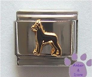 Doberman Dog Italian Charm Standing Full Body Pose